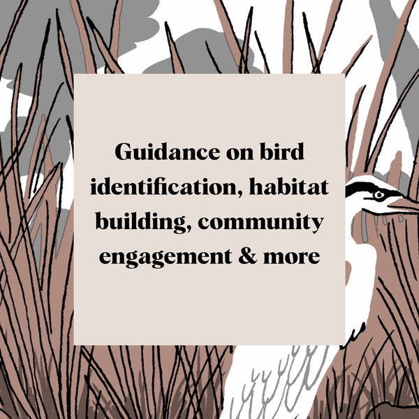 Pocket Nature: Bird-Watching