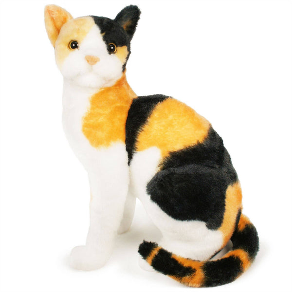 Catalina The Calico