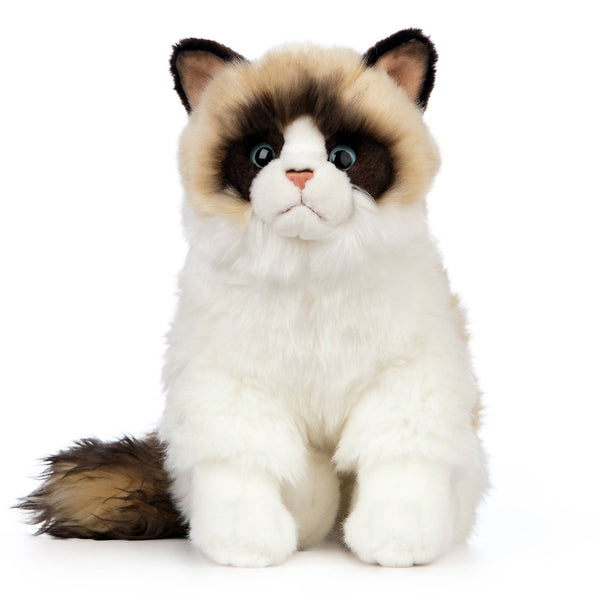 Ragdoll Cat Plush Toy