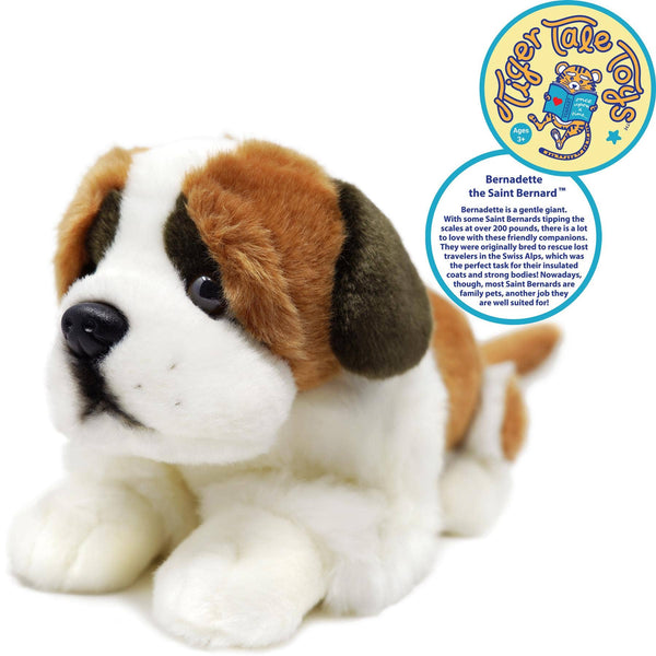Saint Bernard