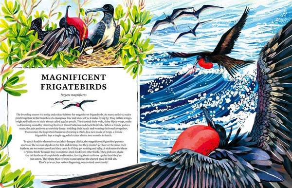 Oceanopedia