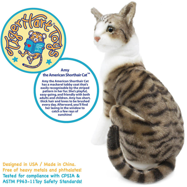 Amy - Shorthair Cat