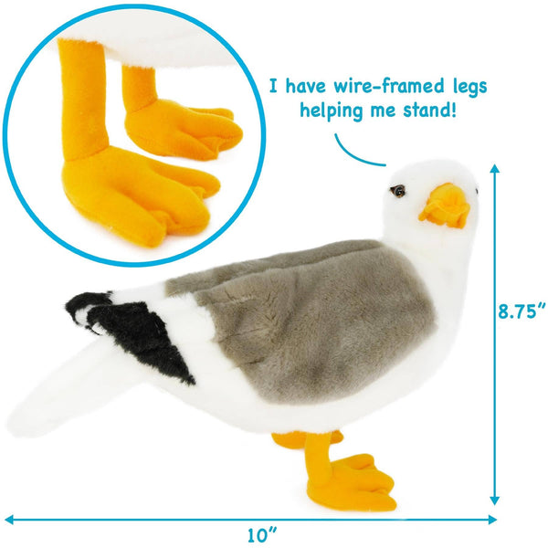 Seamus The Seagull