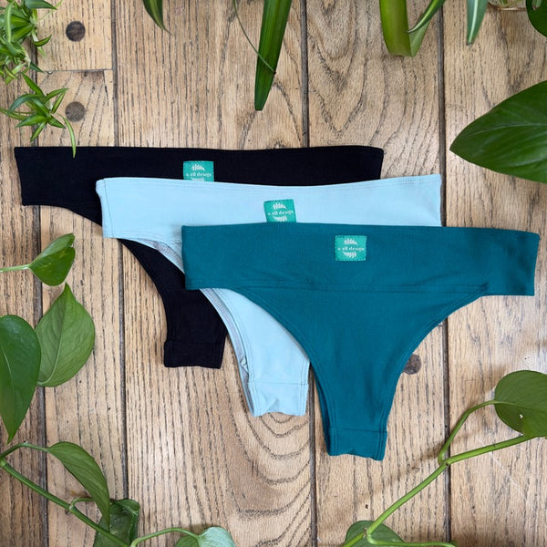 3 Pack Sale - Tanga Undies