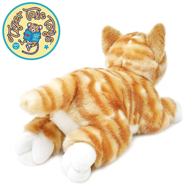 Orange Tabby Cat