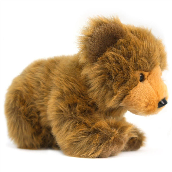 Baby Grizzly Bear