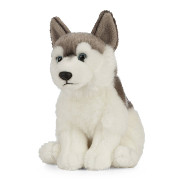 Husky Plush Toy