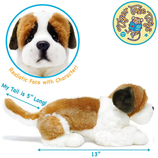 Saint Bernard