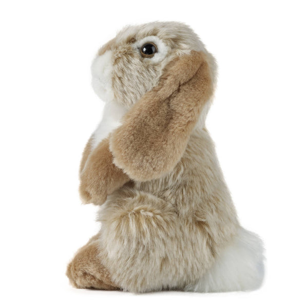 Sitting Lop Ear Rabbit Brown