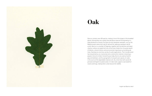 Forest Book