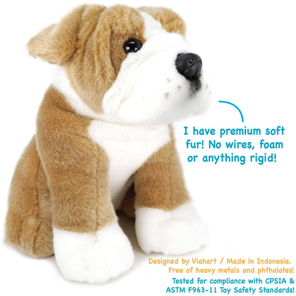 English Bulldog