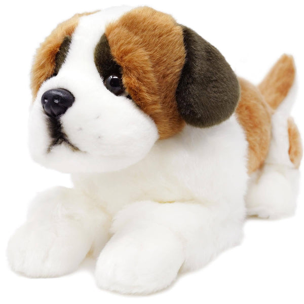 Saint Bernard