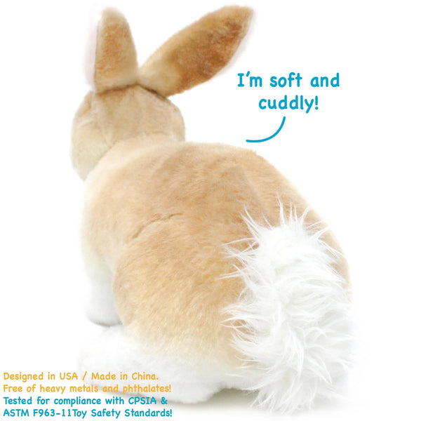 Ridley The Rabbit