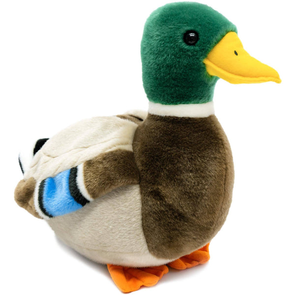 Dakota The Duck