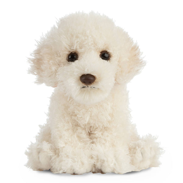 Labradoodle Puppy