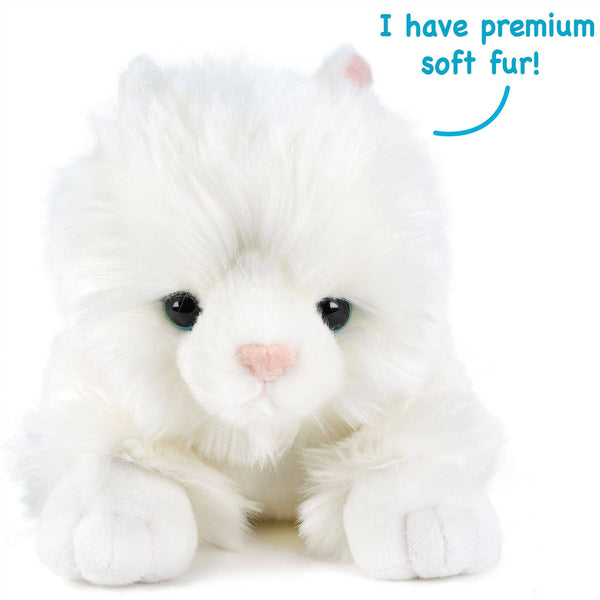 Puff The Persian