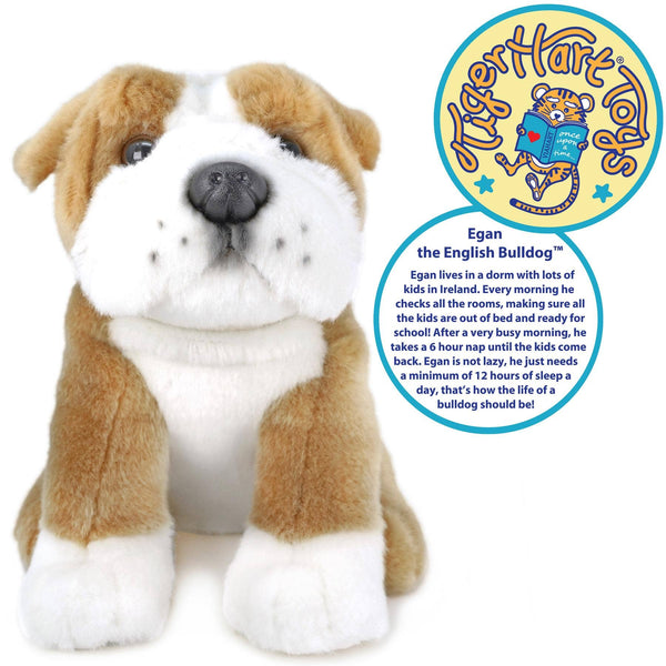 English Bulldog