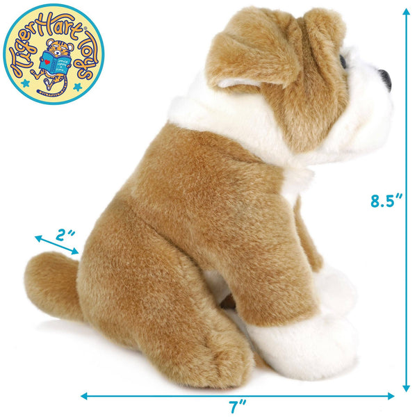 English Bulldog