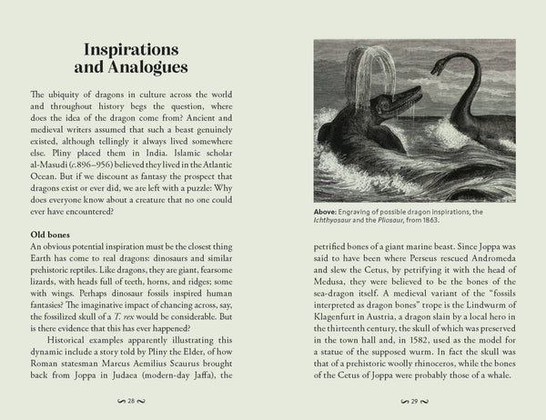 Pocket Book of Dragons