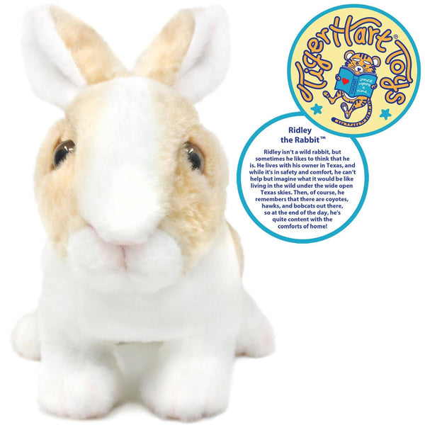 Ridley The Rabbit