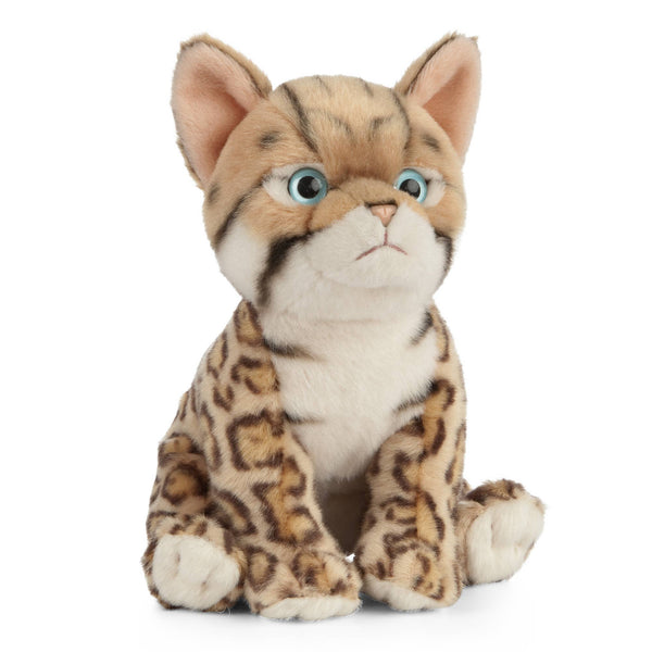 Bengal Kitten Toy