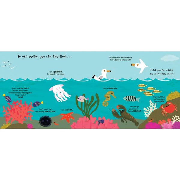 Touch & Explore Book