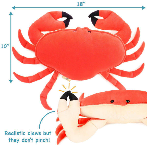 Cora The Crab
