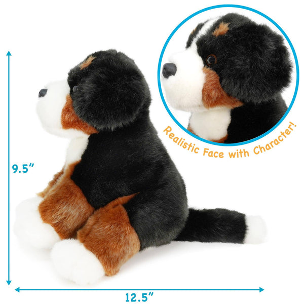 Bernese Mountain Dog