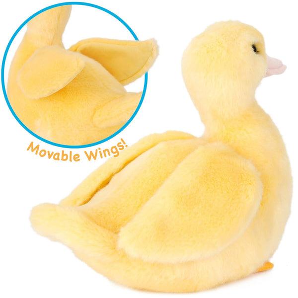 Dani the Duckling