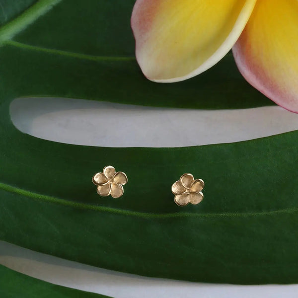 Plumeria Studs