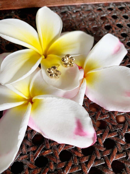 Plumeria Studs