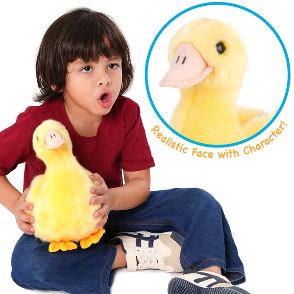 Dani the Duckling