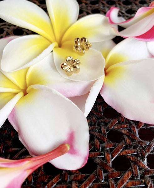 Plumeria Studs