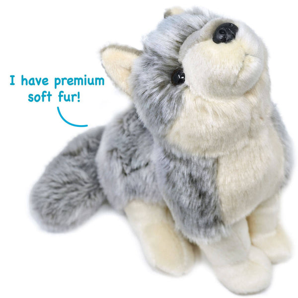Wolcott The Wolf