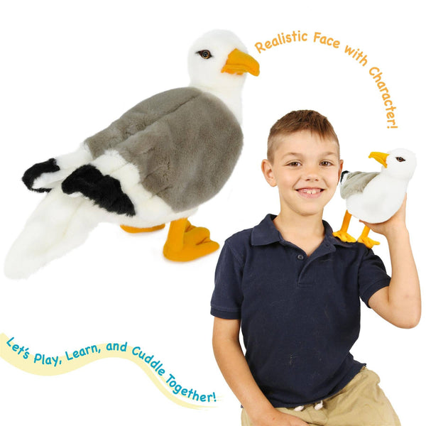 Seamus The Seagull