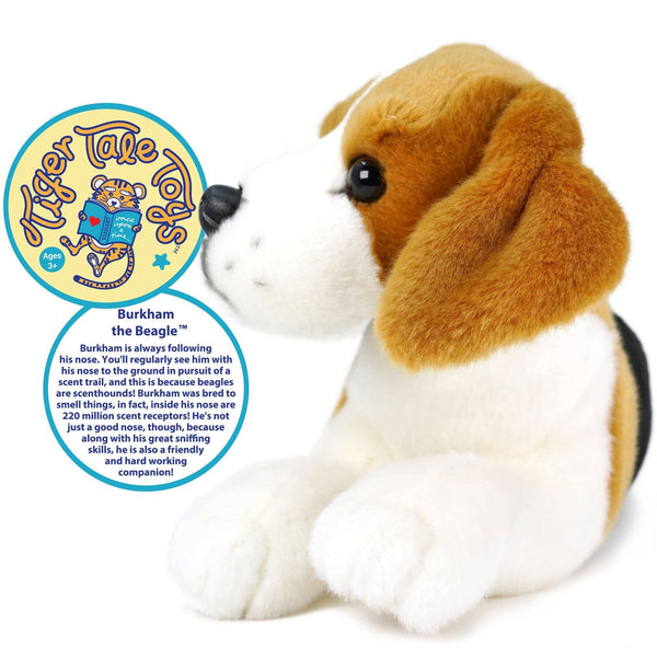 Burkham The Beagle