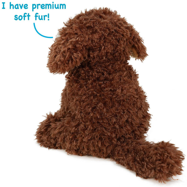 Laurel The Labradoodle
