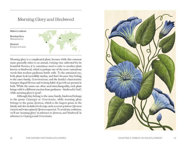 The Hidden Histories of Flowers