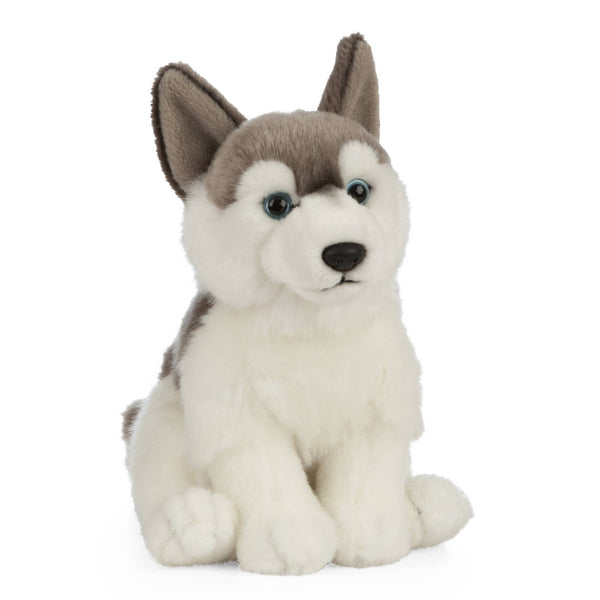 Husky Plush Toy