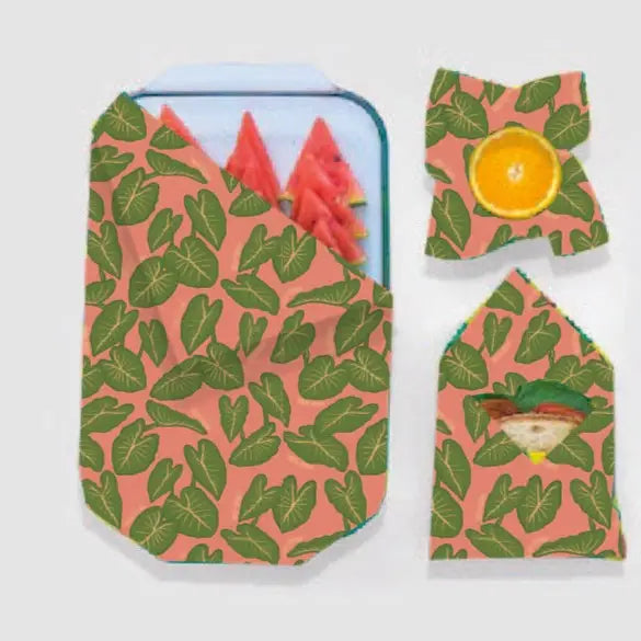 Reusable Beeswax Wraps