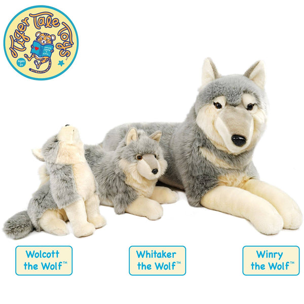 Wolcott The Wolf