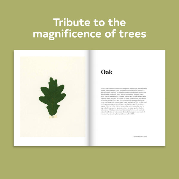 Forest Book