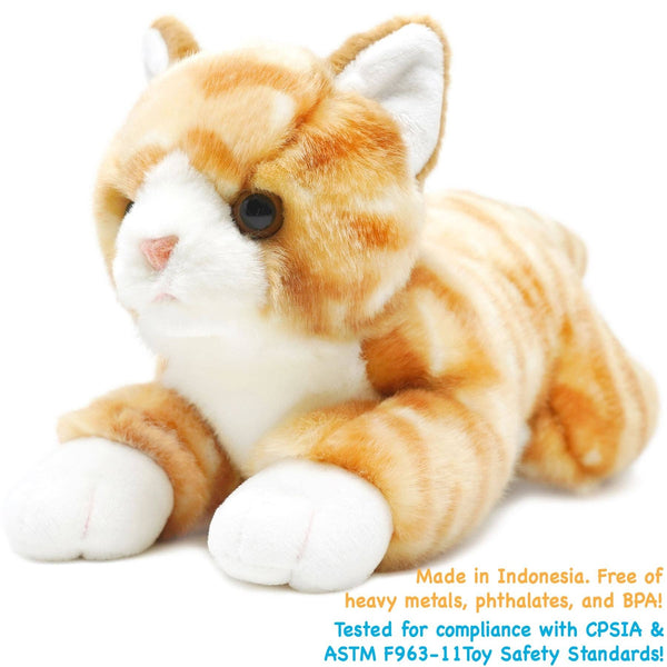Orange Tabby Cat