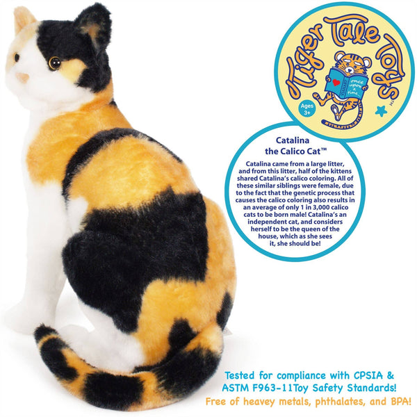 Catalina The Calico