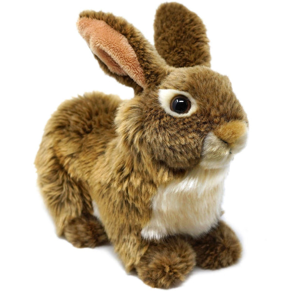 Brigid The Rabbit