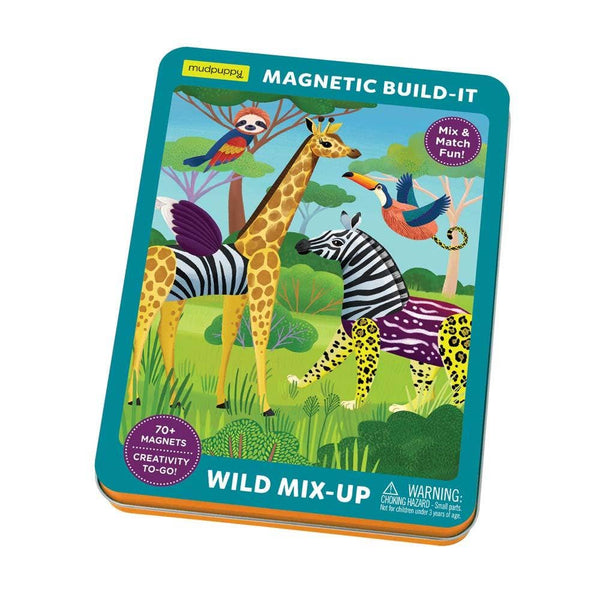 Magnetic Build-It