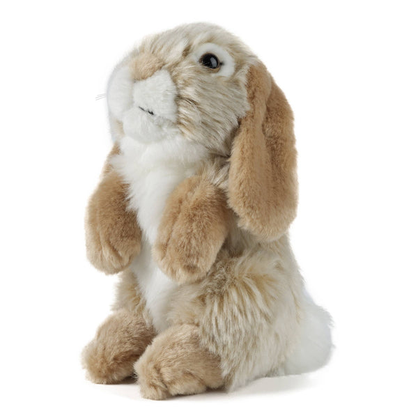 Sitting Lop Ear Rabbit Brown