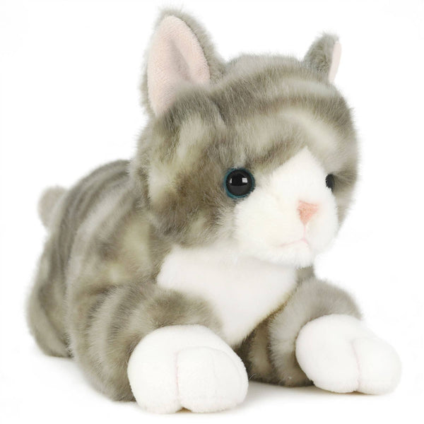 Grey Tabby Cat
