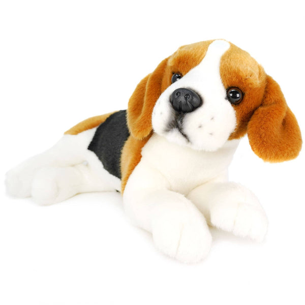 Burkham The Beagle