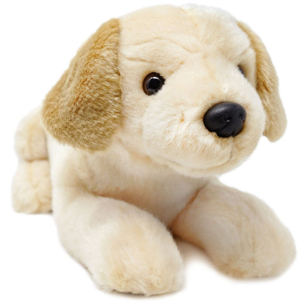 Lorrie The Labrador